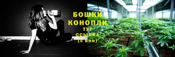 mdpv Козельск
