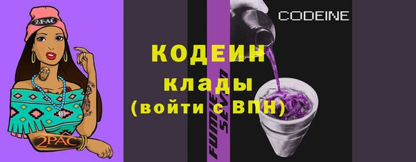 твердый Корсаков