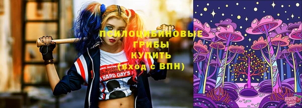 apvp Козловка