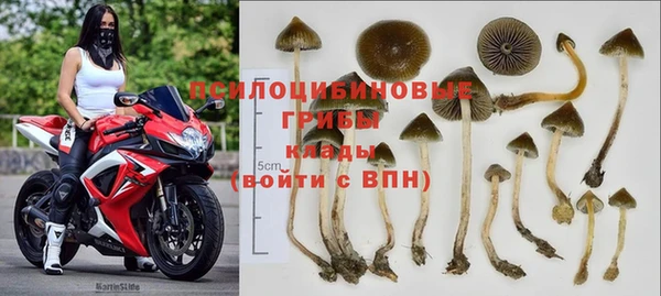 тгк Костерёво