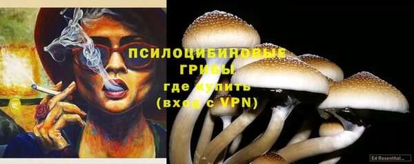 твердый Корсаков