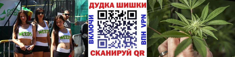 где купить наркоту  Тимашёвск  Канабис план 